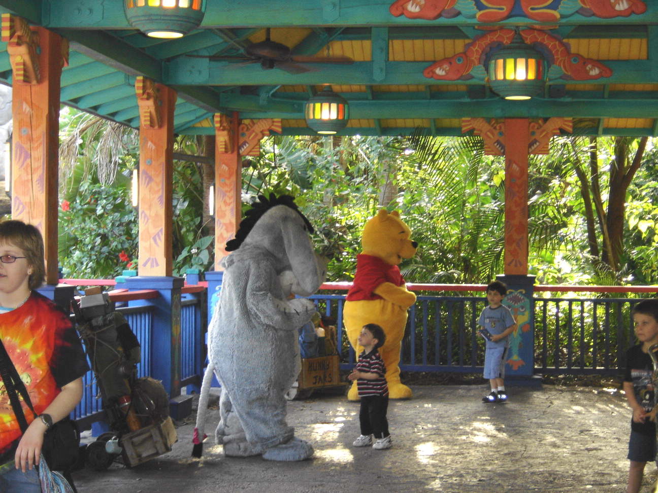 animal kingdom