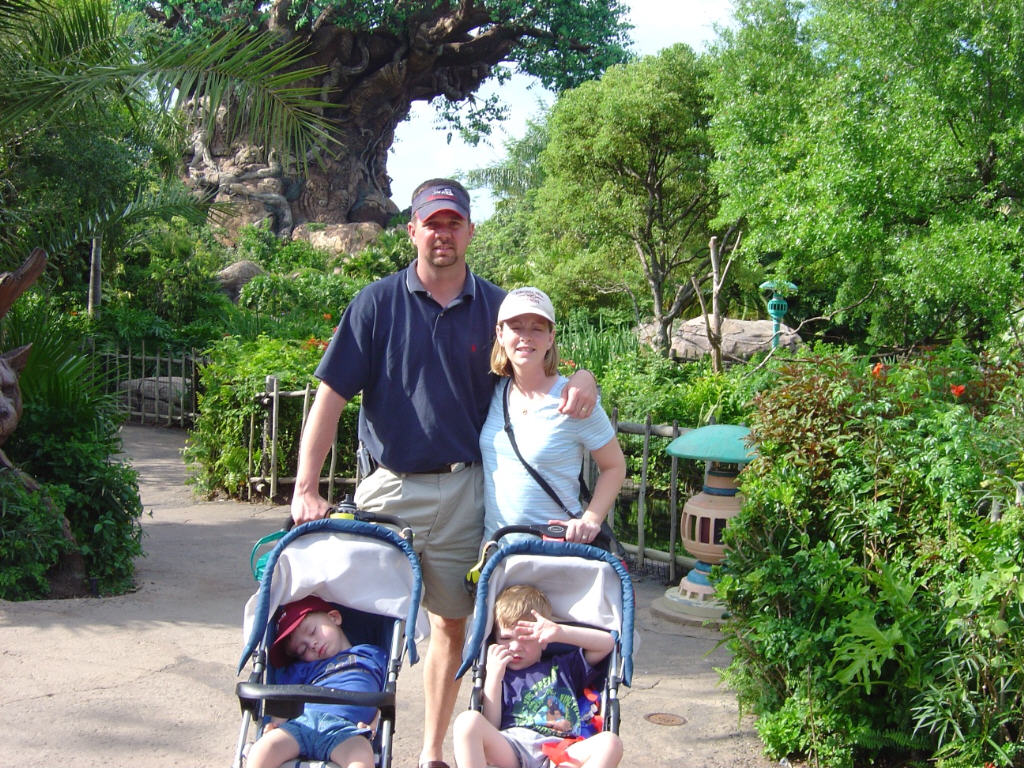 Animal Kingdom