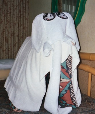 Animal towel