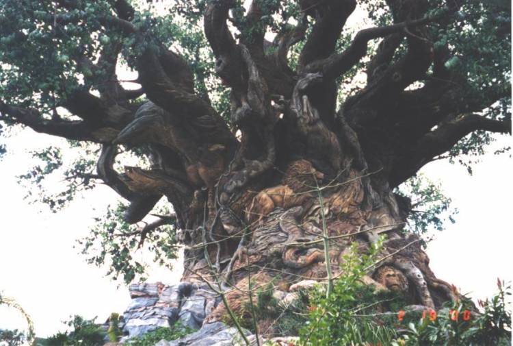 animal_kingdom_00c