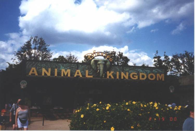 animal_kingdom_00d