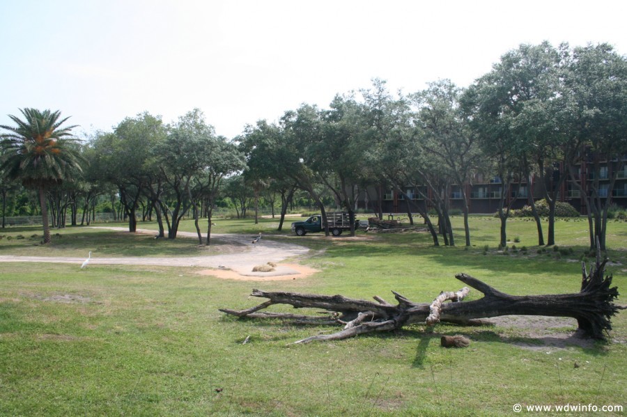 Animal_Kingdom_Lodge_103