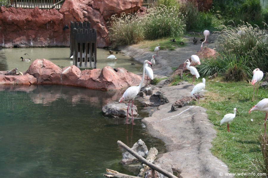 Animal_Kingdom_Lodge_126