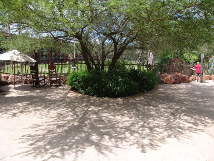 Animal_Kingdom_Lodge_63