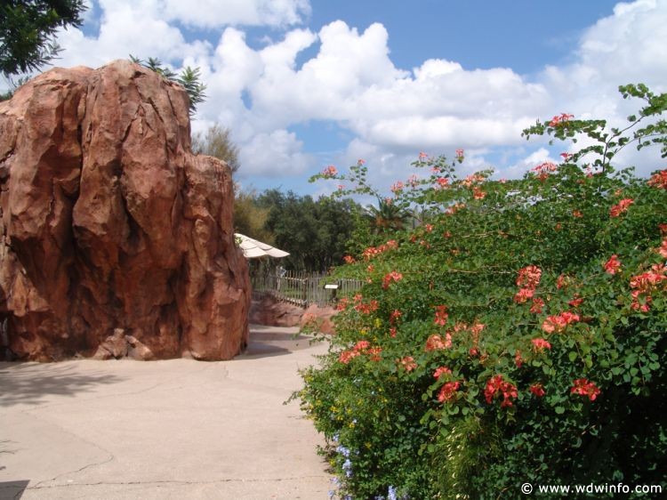 Animal_Kingdom_Lodge_68