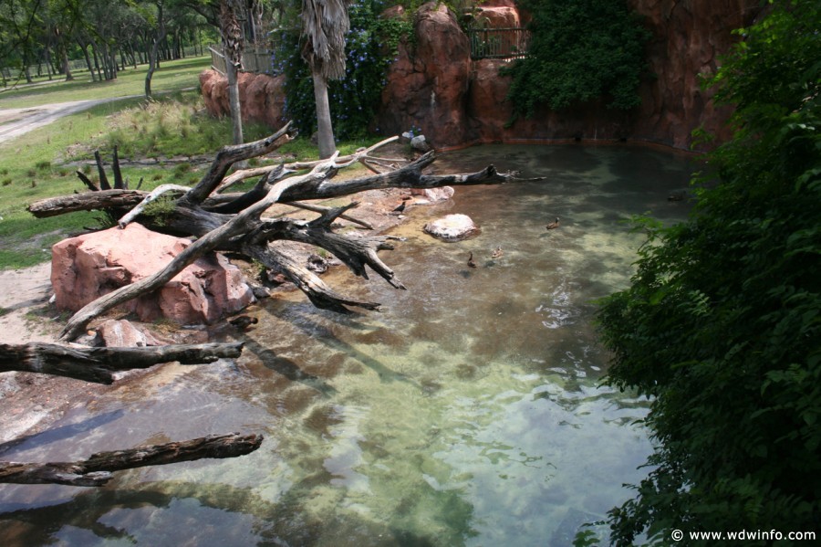 Animal_Kingdom_Lodge_97