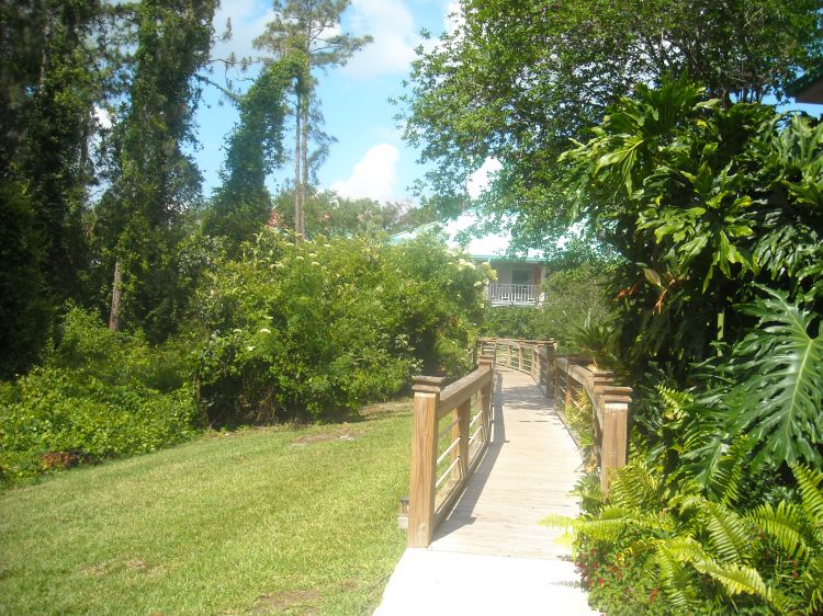 Another walkway in Barbados