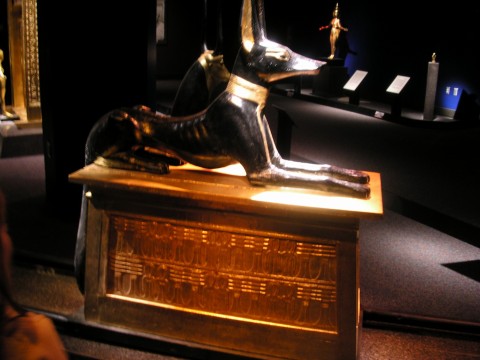 Anubis - the Egyptian god of the dead