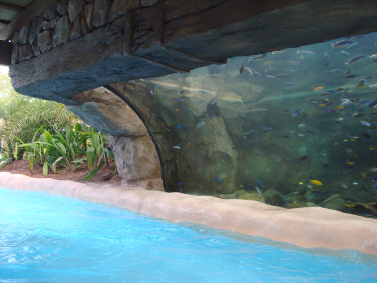 Aquatica_Sea_World_039