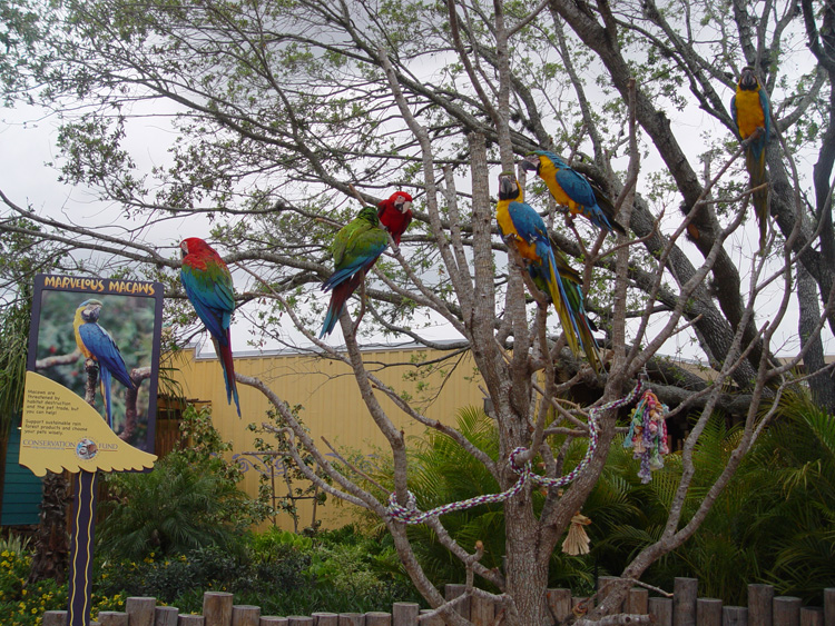 Aquatica_Sea_World_109