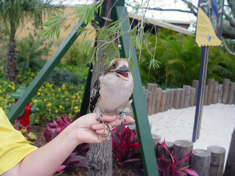 Aquatica_Sea_World_111