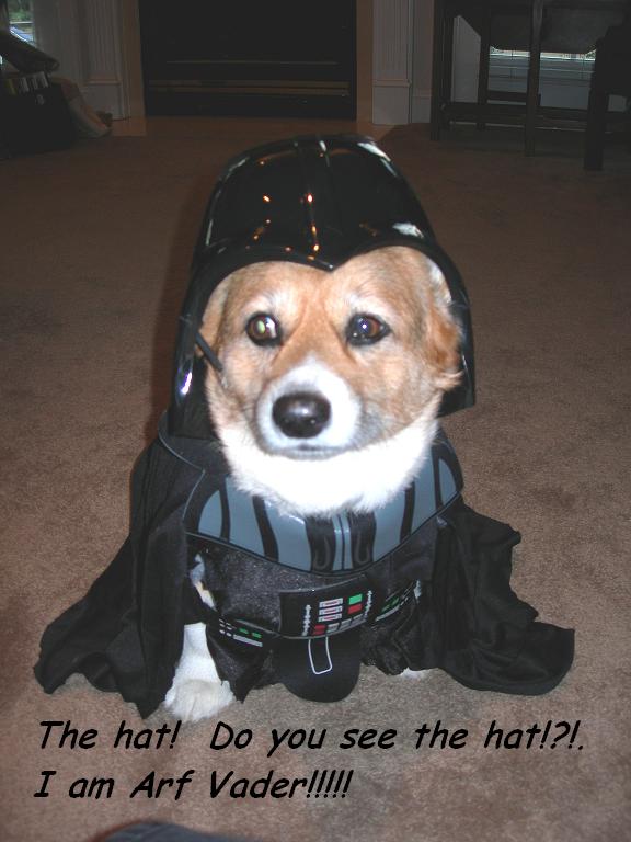 Arf Vader