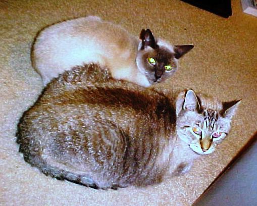 Ashley and Toby