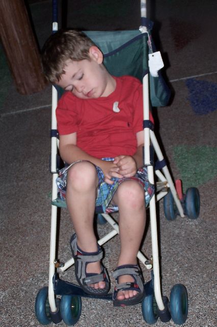 Asleep after Dinner at 1900