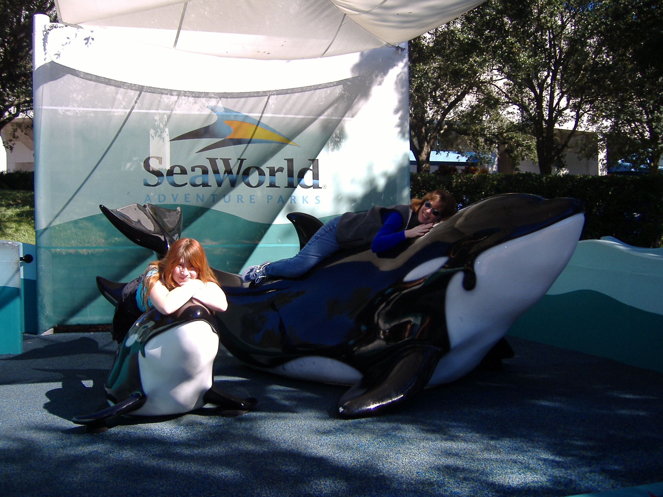 At Sea World