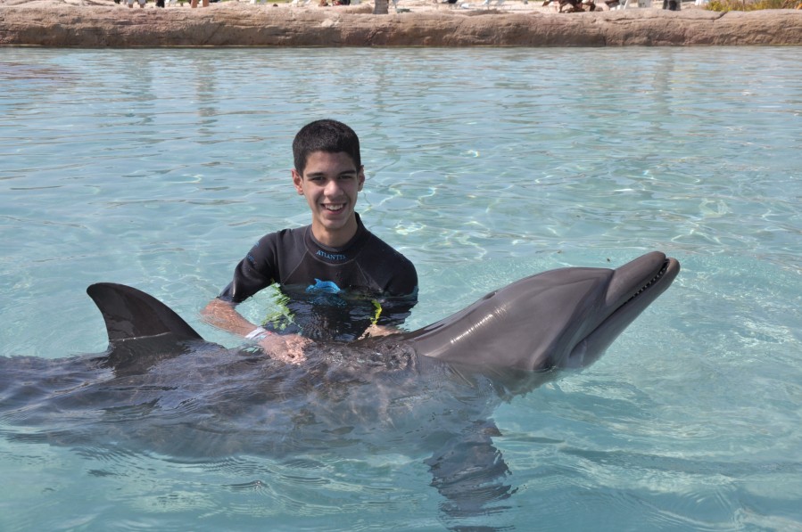 Atlantis Dolphin Adventure