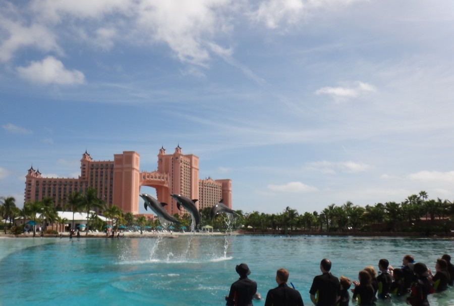 Atlantis Dolphin Adventure