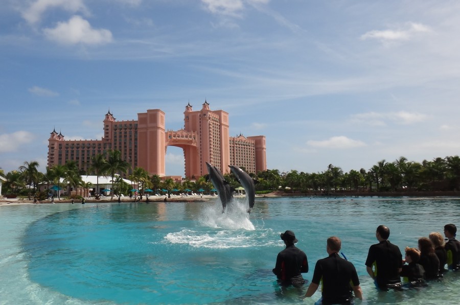 Atlantis Dolphin Adventure