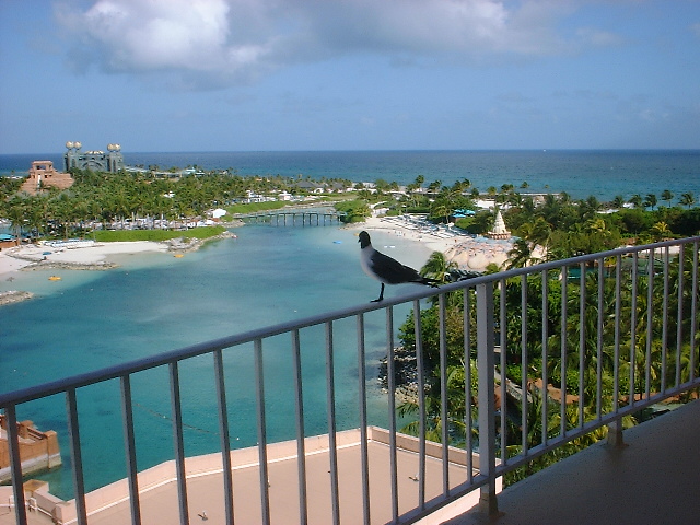 Atlantis_4_2008_010