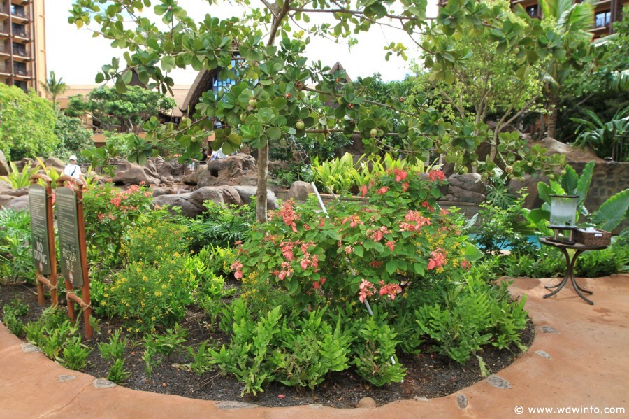Aulani-Resort-39