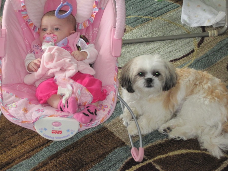 Baby Abby and Sunny