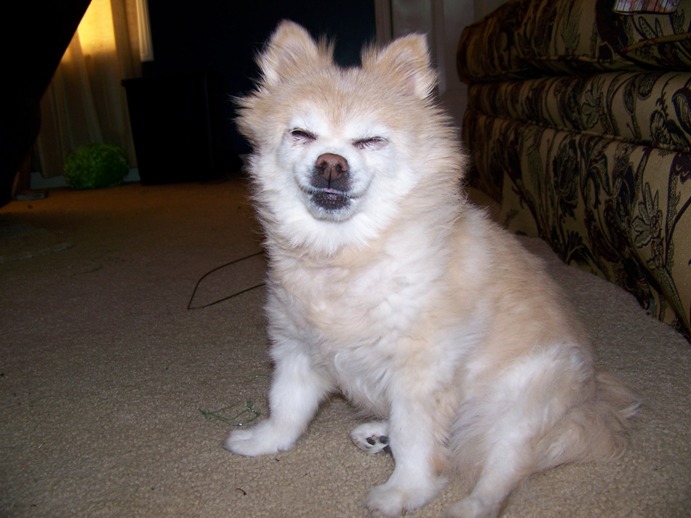 Baby laughing at a witty remark!