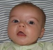 Baby Max 2 months