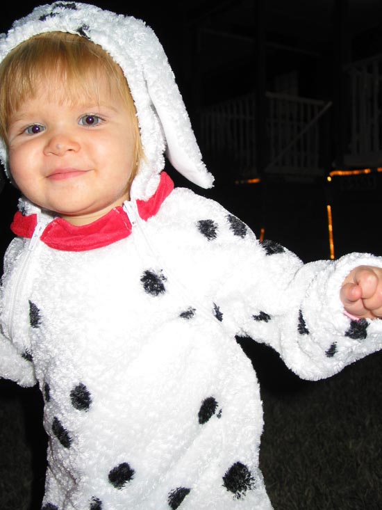 BabyDalmation