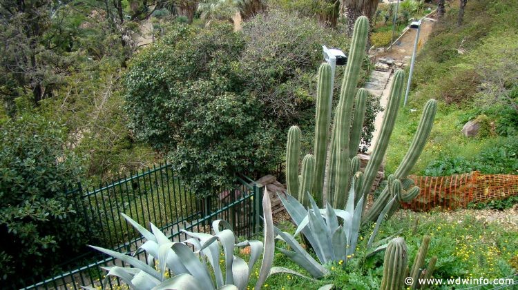Barcelona_City_Tour_33