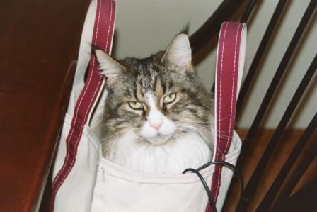 Barney_Bag