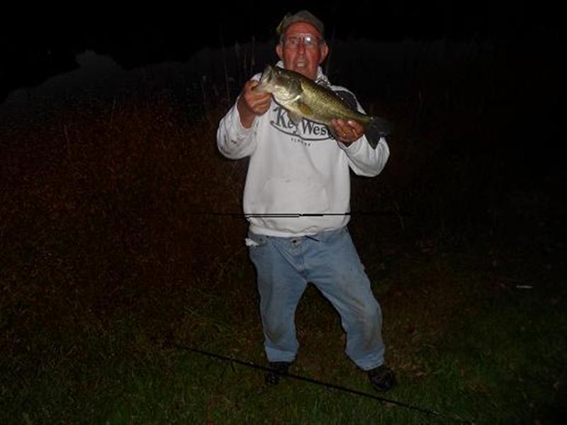Bass