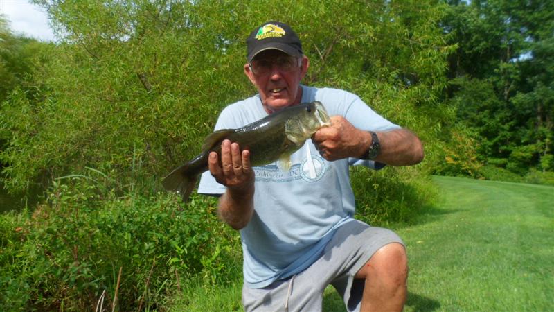 Bass