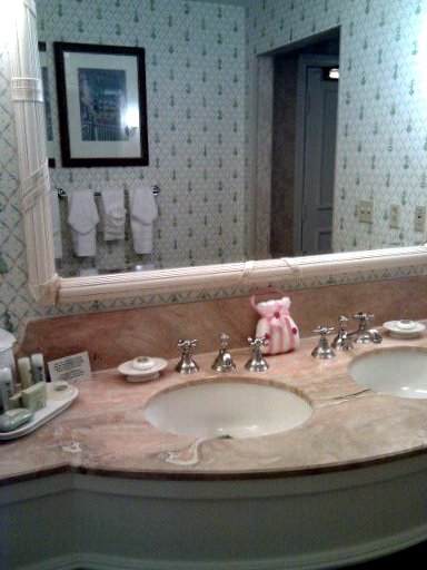 Bathroom sink