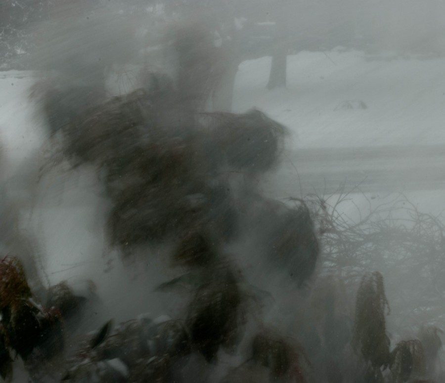 Batten_Down_the_Hatches