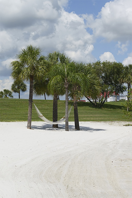 Beach hammock