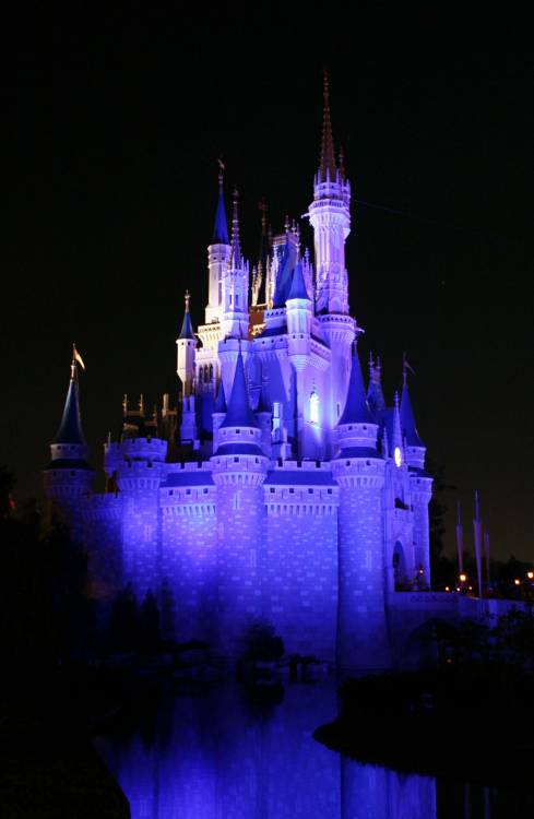 Beautiful Castle at Night