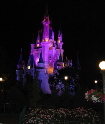 Beauty of a castle
