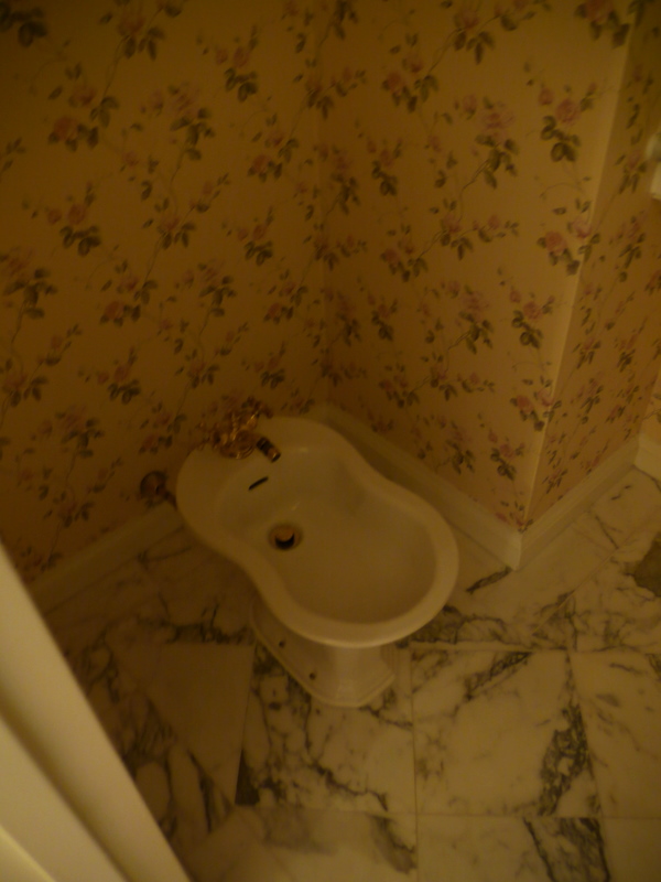 Bidet in Master Bath