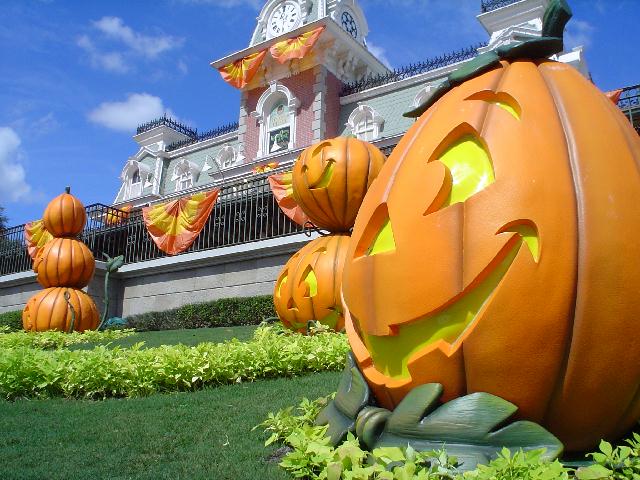 Big pumpkin