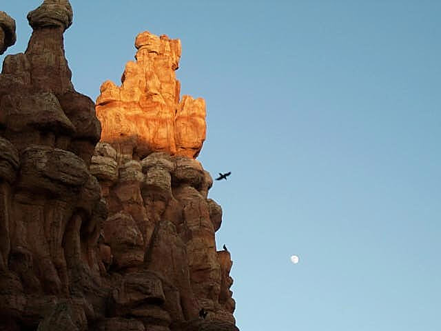 Big Thunder Mountain Railroad