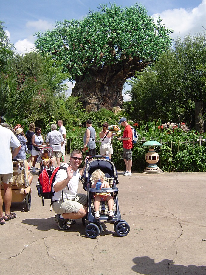Big Tree AK - 8/2003