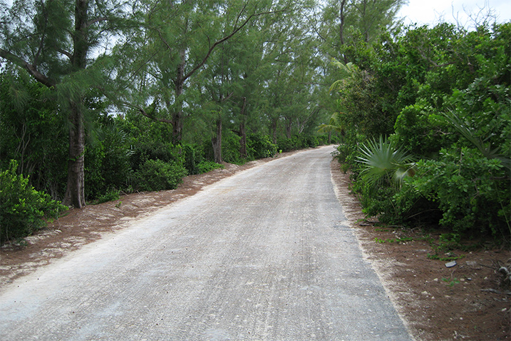 Bike trail