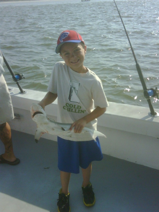 Black Tip