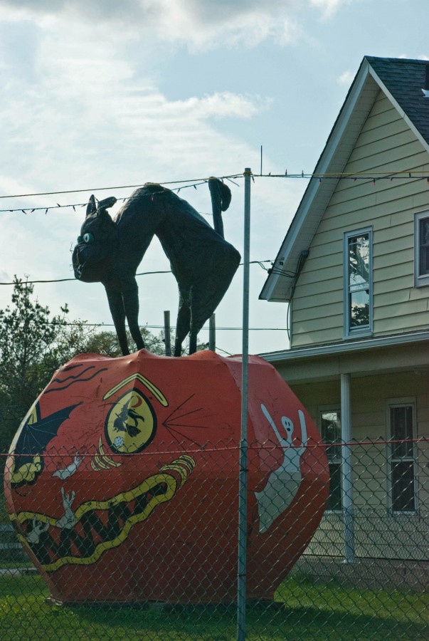 Black_Cat_and_Giant_Pumpkin