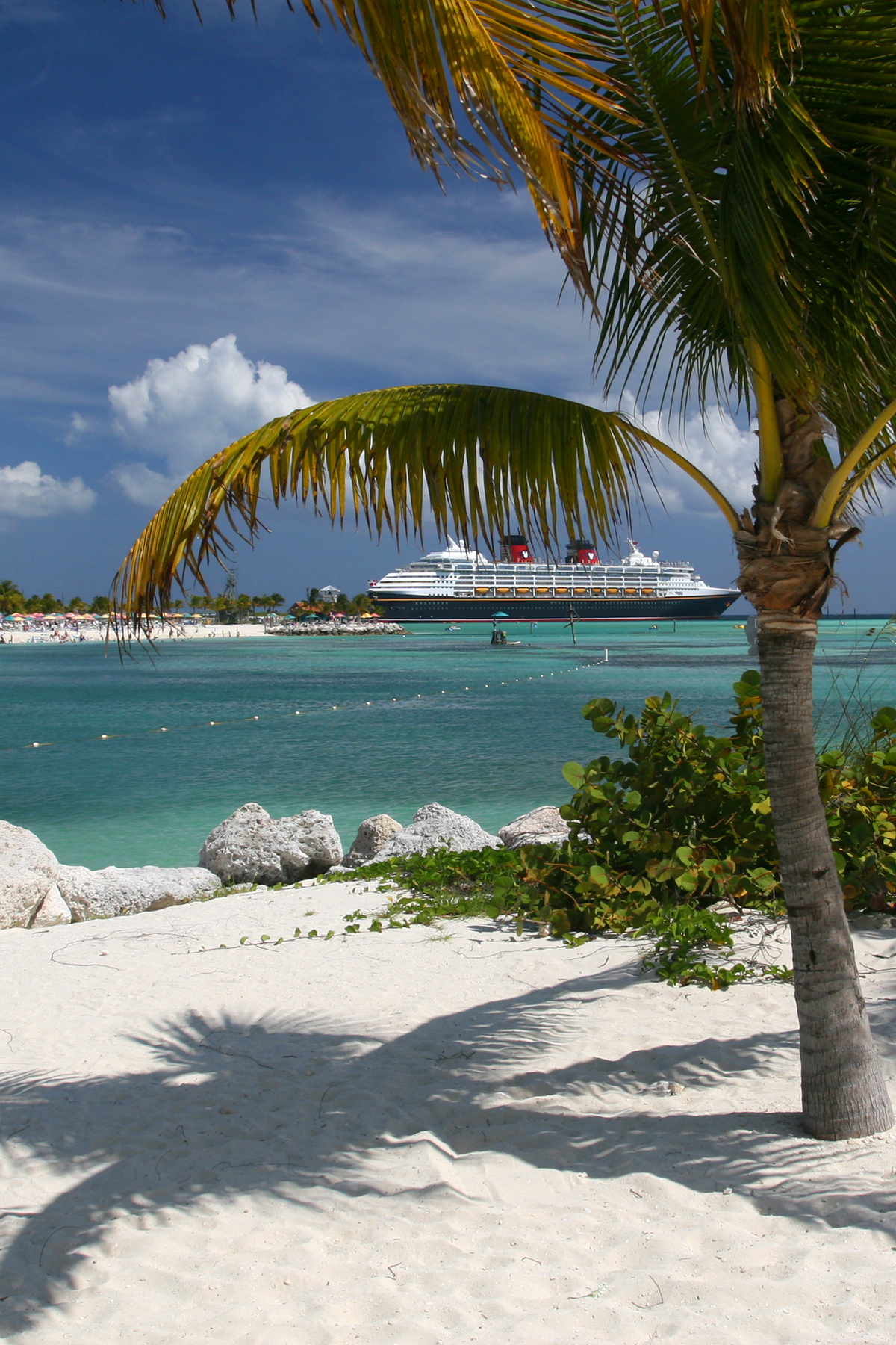 Boat Under Palm