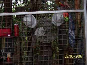 Boneyard Hidden Mickey