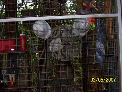 Boneyard-Hidden-Mickey1