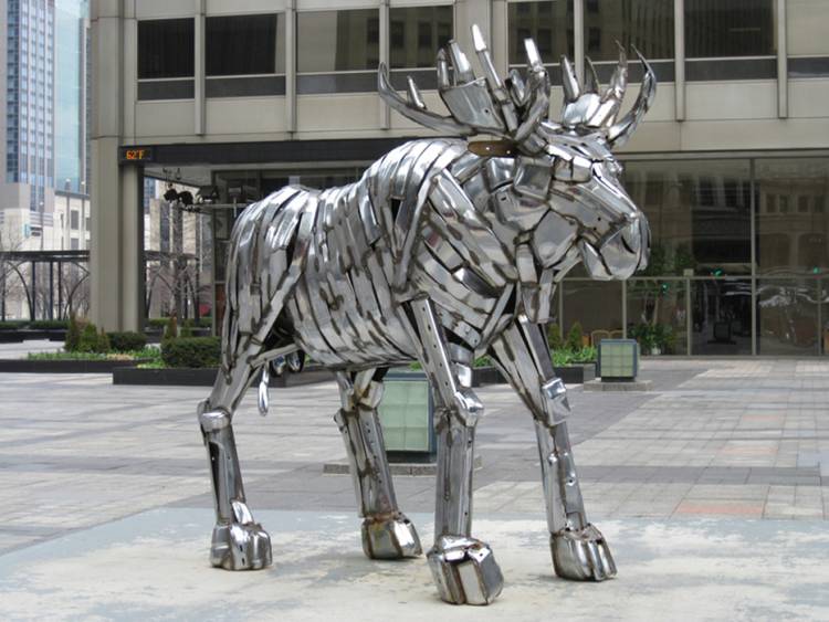 boy_moose_resized