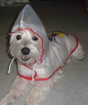 Breezy's new poncho