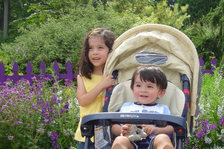 Brookside Gardens - Sea of Purple